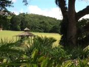 Garden of Tranquility